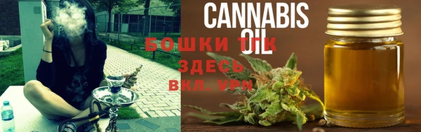 гидропоника Алзамай
