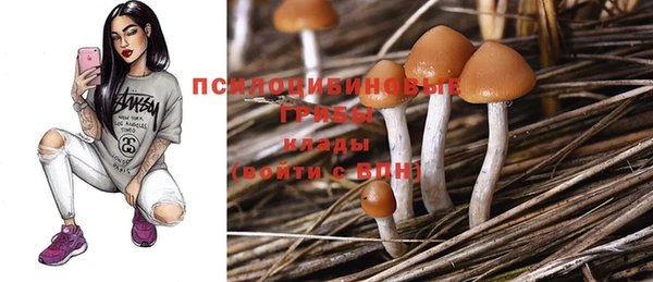 спиды Алексеевка