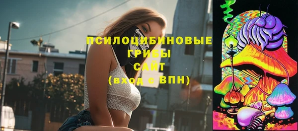 гидропоника Алзамай